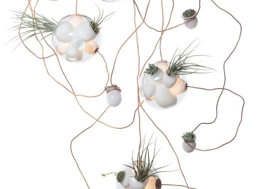 Подвесной светильник Bocci 38 Suspension Lamp image 2