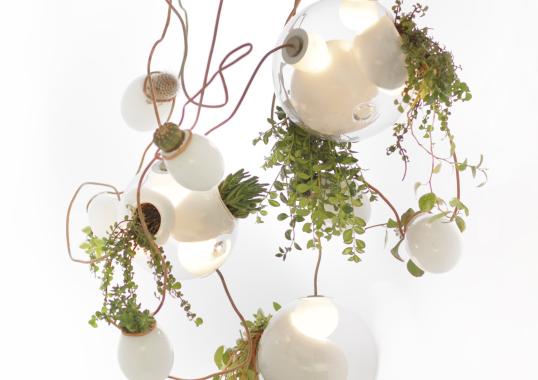 Подвесной светильник Bocci 38 Suspension Lamp image 5