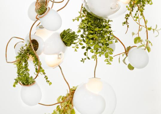 Подвесной светильник Bocci 38 Suspension Lamp image 6