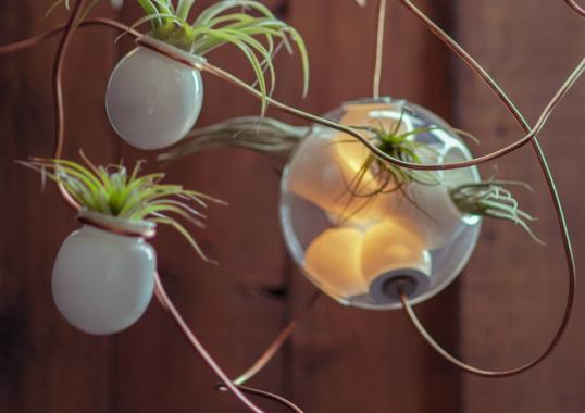 Подвесной светильник от фабрики Bocci модель 38 Suspension Lamp