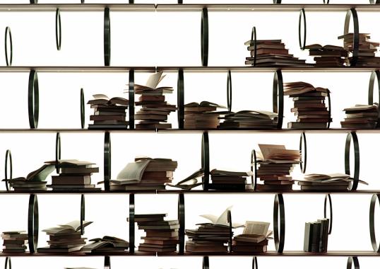 Стеллаж для книг от фабрики Ceccotti Collezioni модель Flying Circles Bookcase