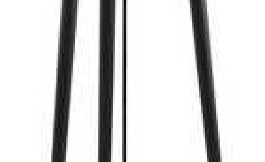 Торшер от фабрики Ceccotti Collezioni модель Lampo Floor Lamp