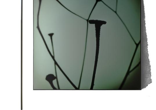 Торшер Davide Groppi Masai Floor image 3