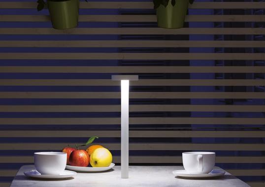 Настольная лампа от фабрики Davide Groppi модель Tetatet Table Lamp