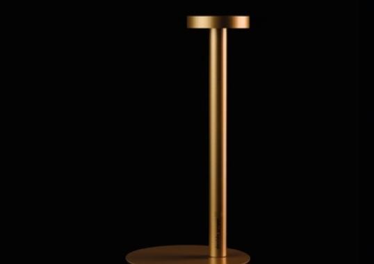 Настольная лампа от фабрики Davide Groppi модель Tetatet Table Lamp
