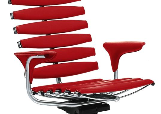 Офисный Стул De Sede DS-210-CHAIR image 1