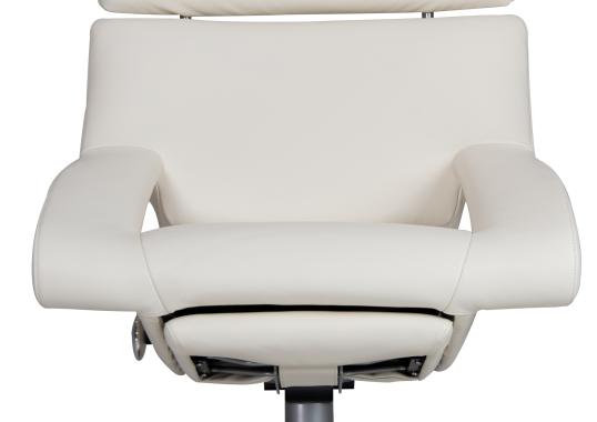 Кресло De Sede DS-255-ARMCHAIR image 1