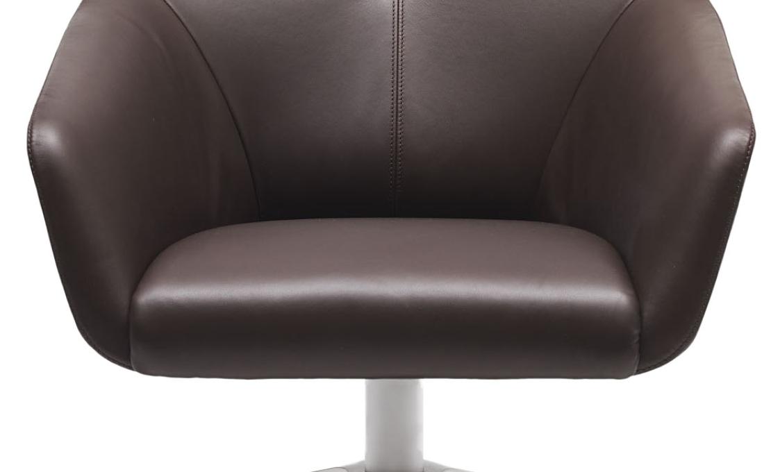 Кресло от фабрики De Sede модель DS-278-ARM