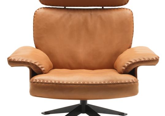 Кресло De Sede DS-31-101-ARMCHAIR image 1