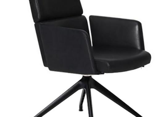 Стул De Sede DS-414- WITH ARMRESTS image 1