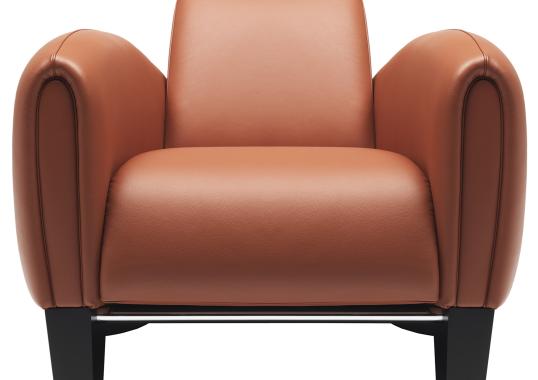 Кресло De Sede DS-57-ARMCHAIR image 1