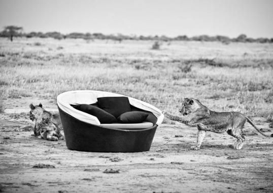 Уличный диван от фабрики Dedon модель Orbit Loveseat 