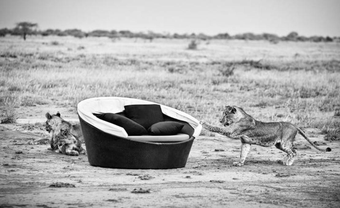 Уличный диван от фабрики Dedon модель Orbit Loveseat 