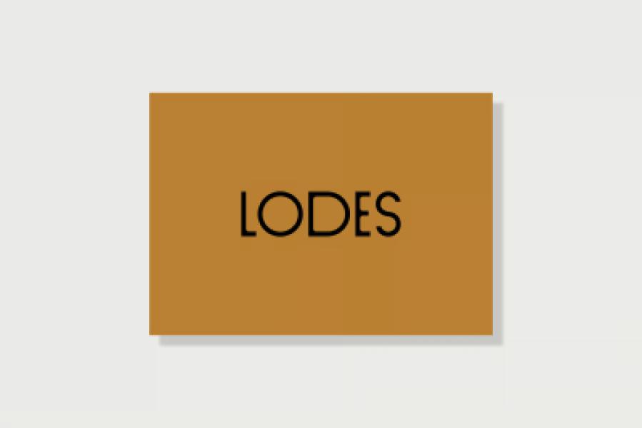 Company Profile Lodes