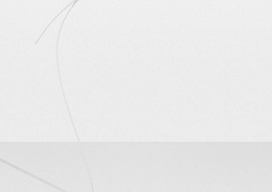 Торшер от фабрики Petite Friture модель L08409