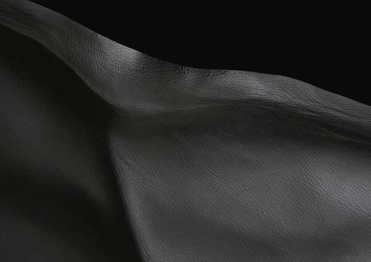 Шезлонг Poliform WACH200 image 5