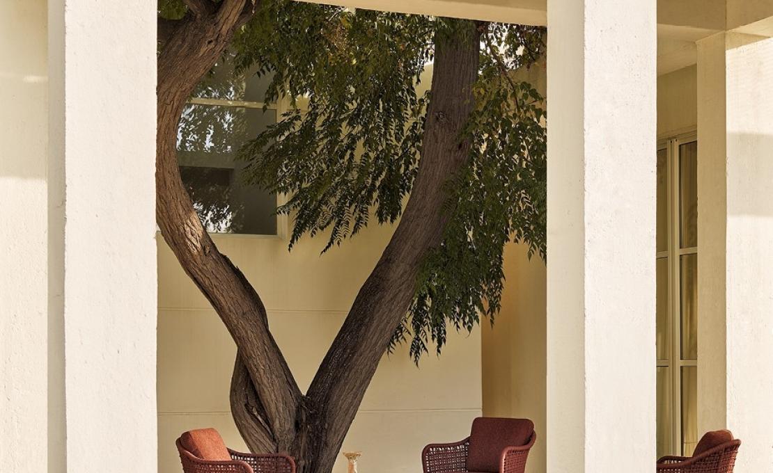 Уличное кресло от фабрики Poliform модель MAD OUT ARM