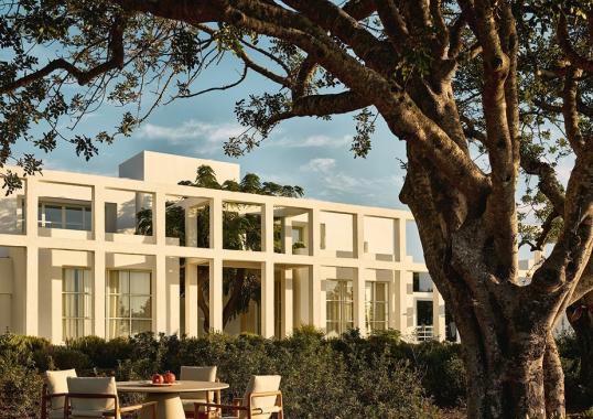 Уличный стул от фабрики Poliform модель MAGNOLIA 