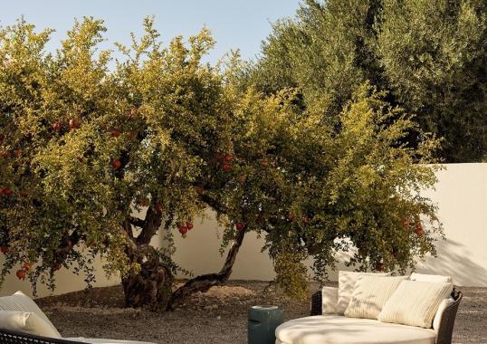 Уличный диван Poliform SOORI DAY LOUNGE image 4