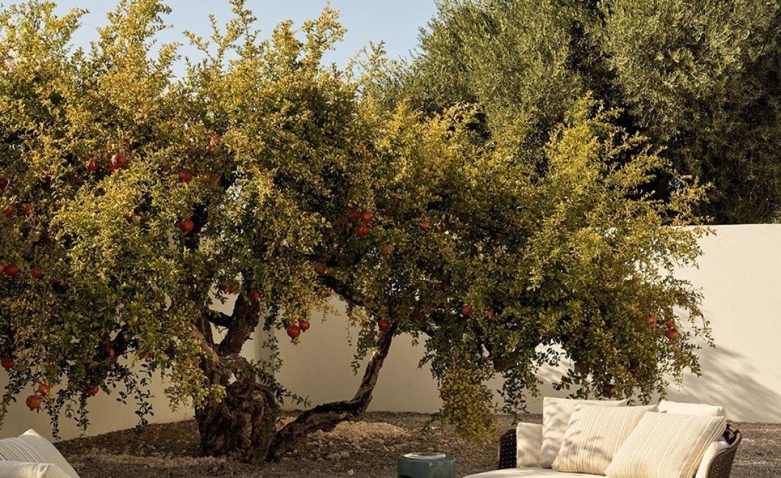 Уличный диван от фабрики Poliform модель SOORI DAY LOUNGE