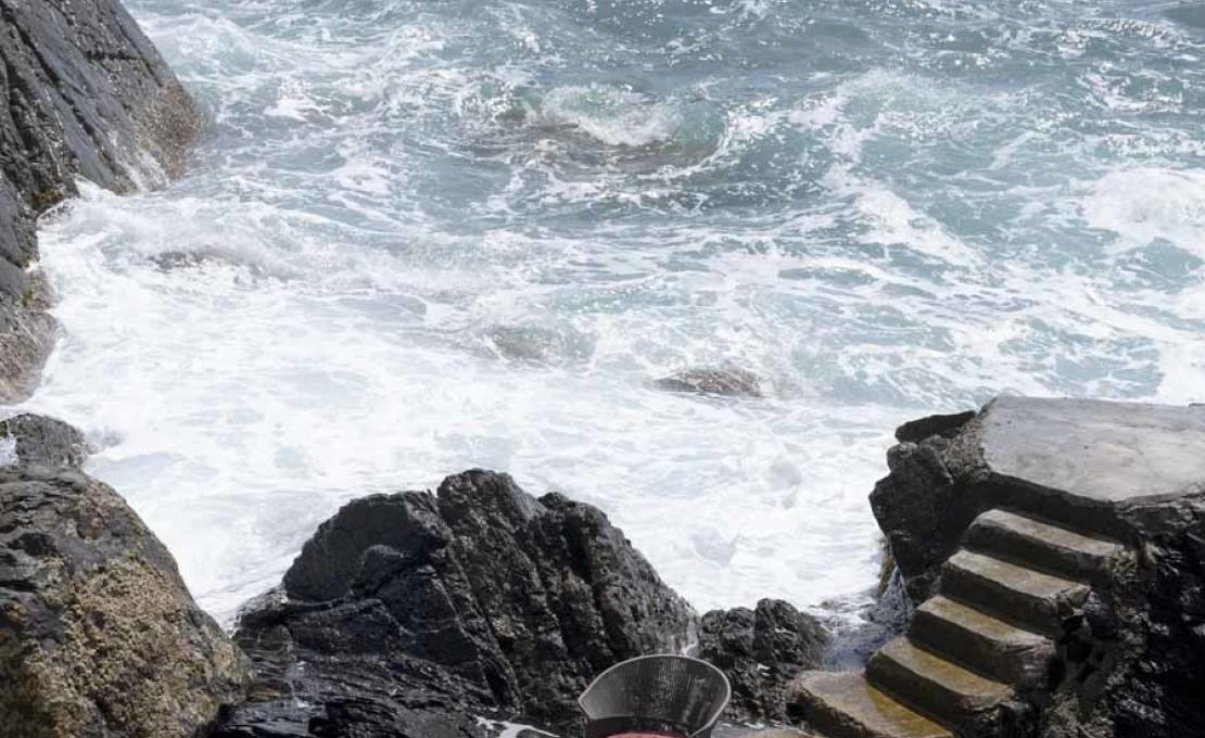 Уличное кресло от фабрики Potocco модель 923/P Ola Poltroncina