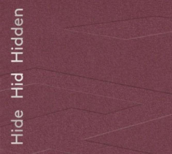 Hide Hid Hidden 2025