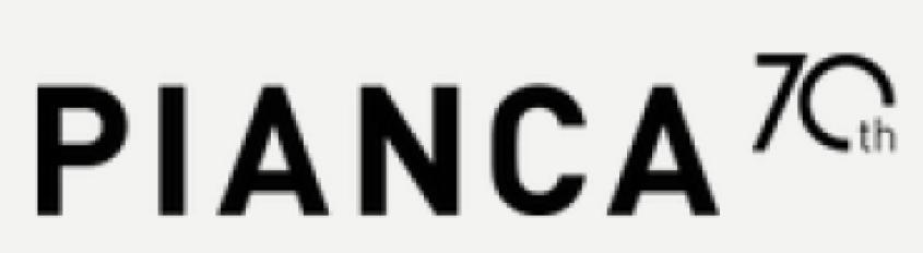 Логотип фабрики Pianca