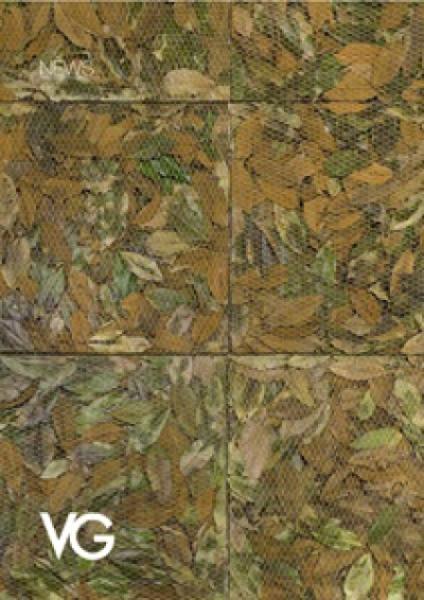 VG new collections (it, en)‎