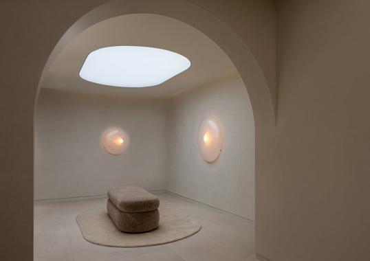Потолочный светильник модель Iris Ceiling/Wall Lamp - A от фабрики A-N-D