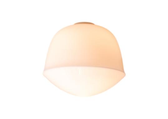 Потолочный светильник модель Contour - CW Wall/Ceiling Lamp Ø. 22,5 cm от фабрики A-N-D