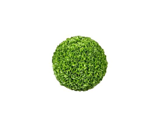 Статуэтка модель Sfera Molucella от фабрики VG