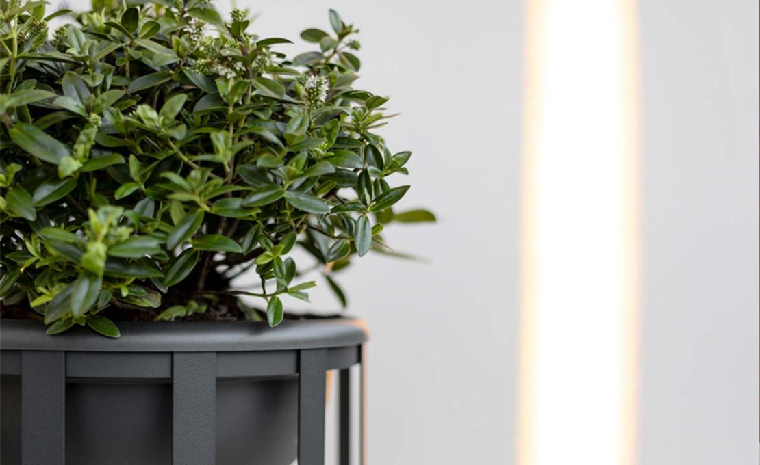 Торшер модель Bols - Floor Lamp - Outdoor от фабрики Estiluz