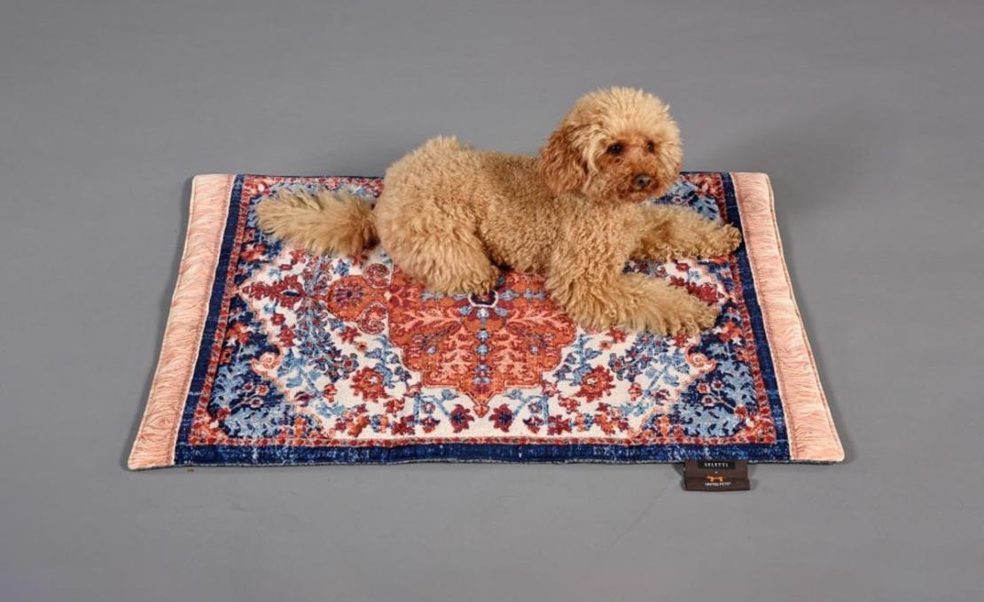 Статуэтка модель Pets (R)evolution Carpet Kennel - Blue от фабрики Seletti