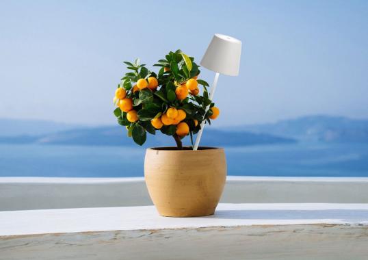 Торшер Poldina Picchetto Floor Lamp Outdoor от Zafferano image 4