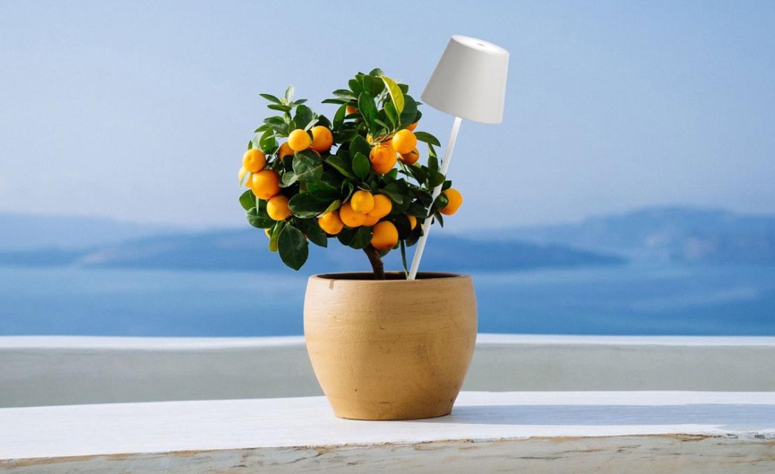 Торшер модель Poldina Picchetto Floor Lamp Outdoor от фабрики Zafferano