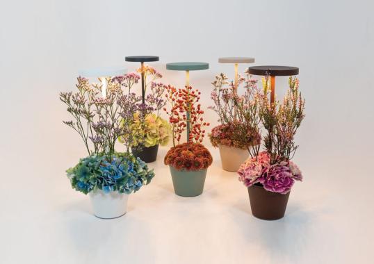 Настольная лампа Poldina Reverso Table Lamp от Zafferano image 6