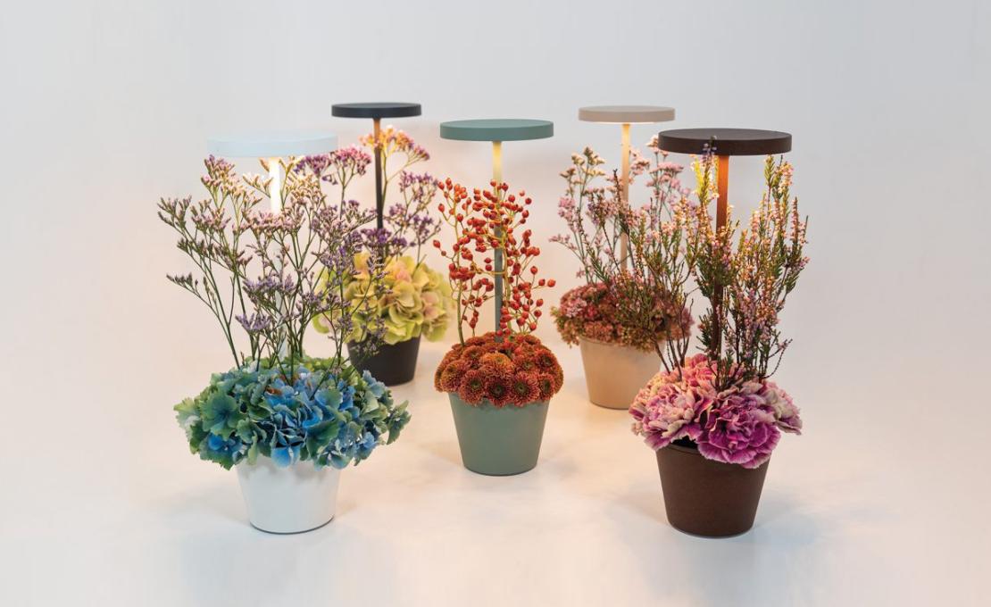 Настольная лампа модель Poldina Reverso Table Lamp от фабрики Zafferano