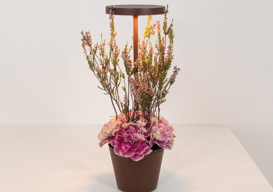 Настольная лампа модель Poldina Reverso Table Lamp от фабрики Zafferano