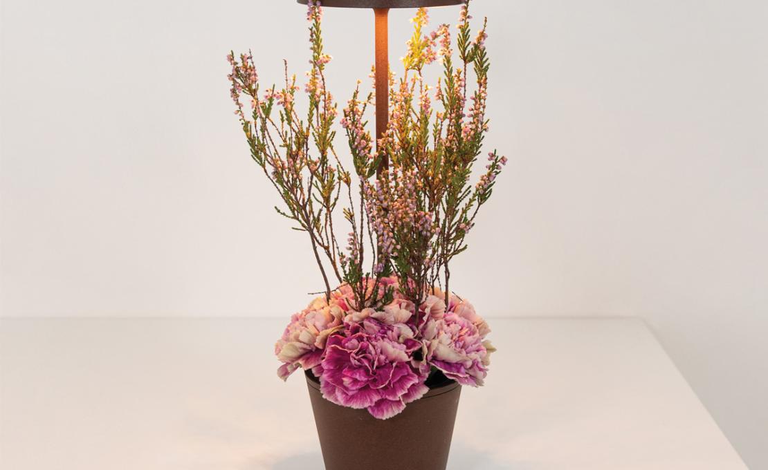 Настольная лампа модель Poldina Reverso Table Lamp от фабрики Zafferano