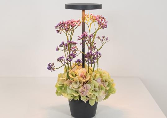 Настольная лампа модель Poldina Reverso Table Lamp от фабрики Zafferano