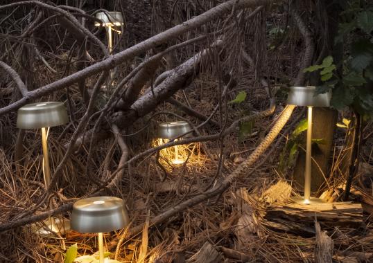 Настольная лампа модель Sister Light Table Lamp от фабрики Zafferano