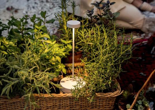 Настольная лампа модель Swap Table Lamp от фабрики Zafferano