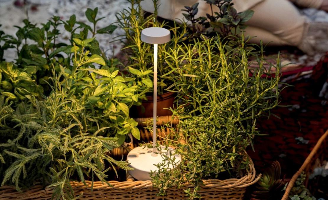Настольная лампа модель Swap Table Lamp от фабрики Zafferano