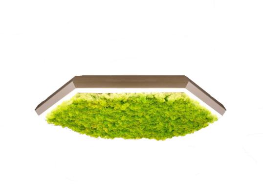 Настольная лампа Exagon Silence Kit от Olev Lighting image 1