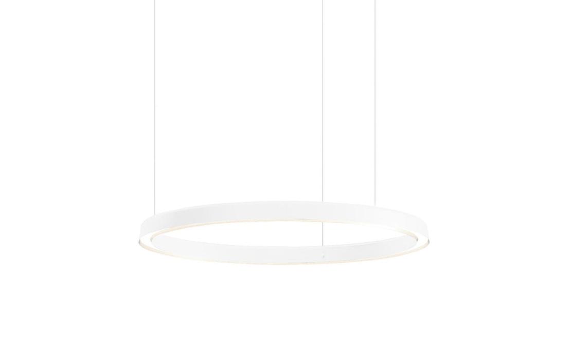Подвесной светильник модель Compendium Circle D81C07 Suspension Lamp от фабрики Luceplan
