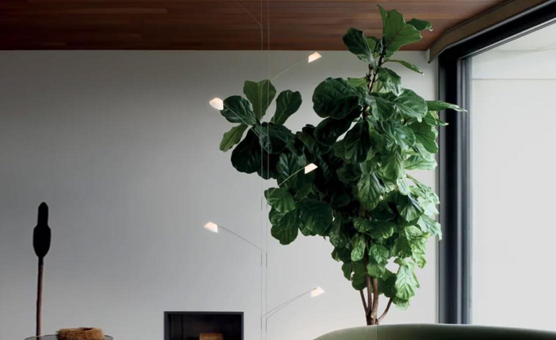 Торшер модель Liuu Floor Lamp от фабрики Luceplan