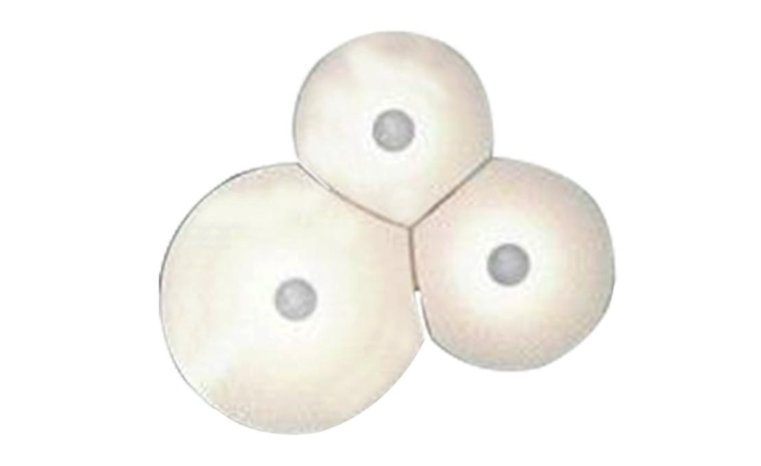 Бра модель Bulbullia D95A3D Lampada da Parete от фабрики Luceplan
