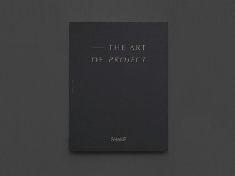 THE ART OF PROJECT