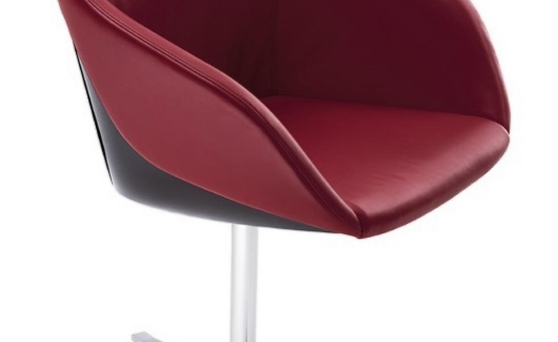 Стул от фабрики Walter Knoll модель Turtle 