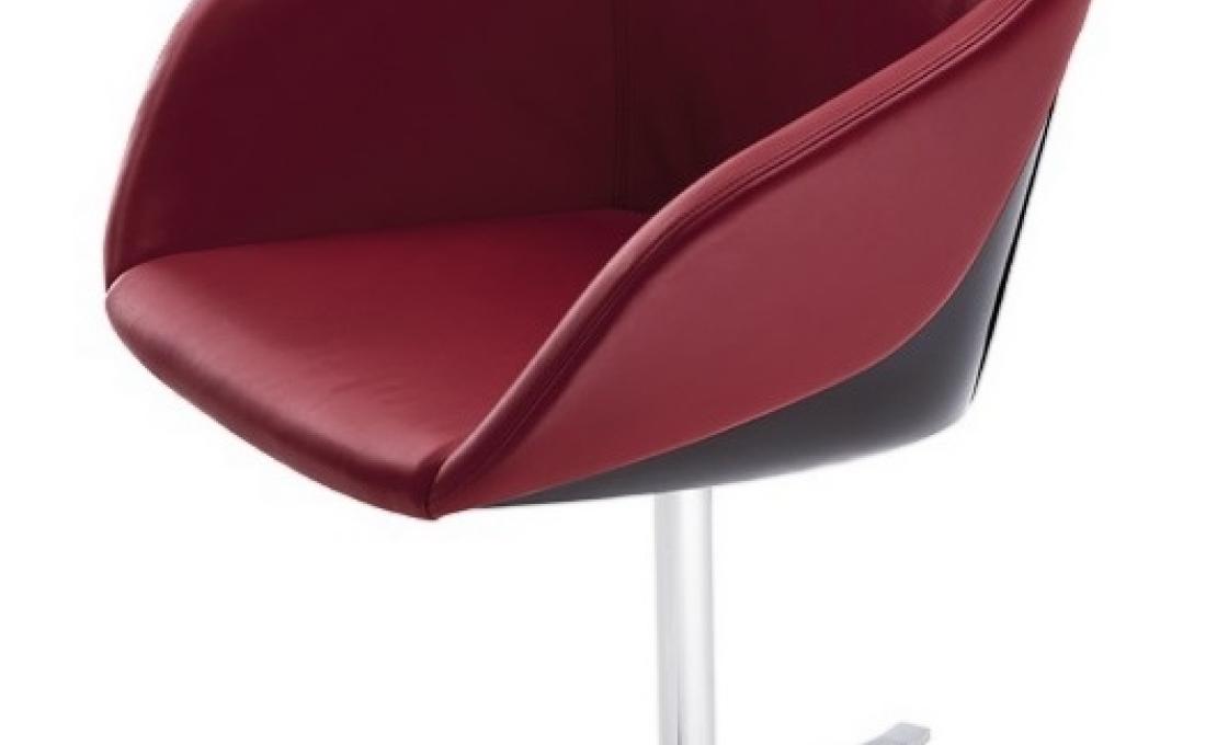 Стул от фабрики Walter Knoll модель Turtle 